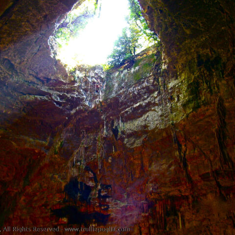 Castellana Grotte - Trulli e Puglia